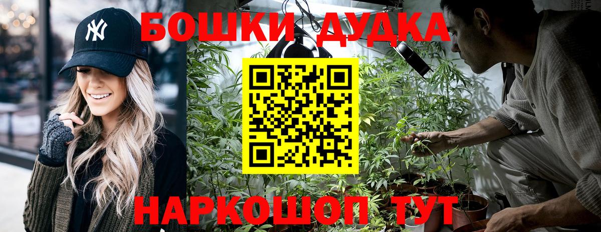 Бошки марихуана конопля  Каннабис OG Kush  Вход с VPN  Кемерово  Бошки марихуана тримм 
