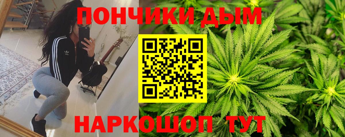 МАРИХУАНА сатива Кемерово